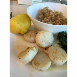 3 qt. Stainless Steel Dual-Handle Casserole Pan with Silicone Handles and Convenient Lid with Patented Rim Latch by Unbranded 11 3 qt. Stainless Steel Dual-Handle Casserole Pan with Silicone Handles and Convenient Lid with Patented Rim Latch by Unbranded -Cheap Bakeware Store stainless steel casserole dishes cc 3004 12 66 1000